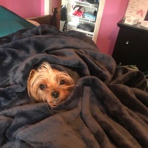 Meet your Posher, Nyla